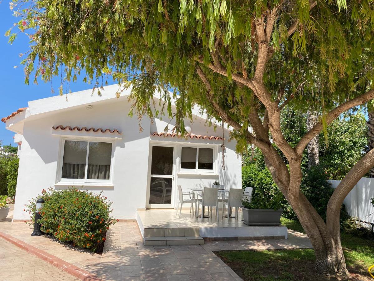 Fig Tree Z Holiday Resort باراليمني المظهر الخارجي الصورة