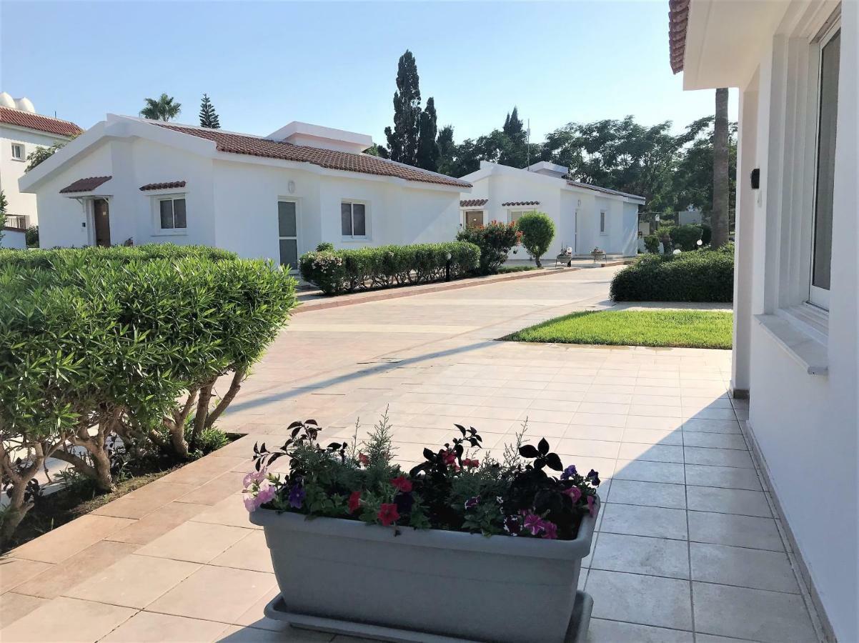 Fig Tree Z Holiday Resort باراليمني المظهر الخارجي الصورة