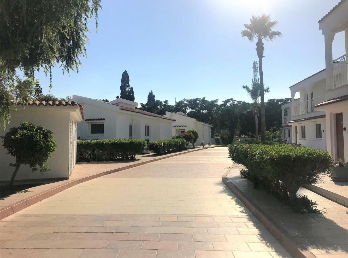 Fig Tree Z Holiday Resort باراليمني المظهر الخارجي الصورة